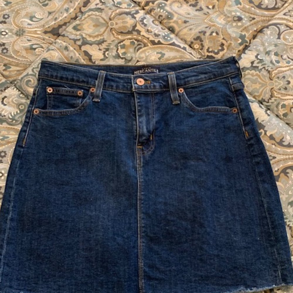 J Crew Denim Skirt